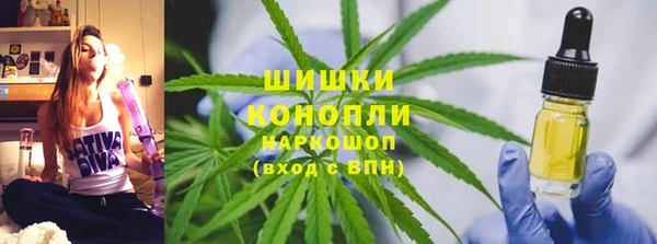 сатива Костерёво