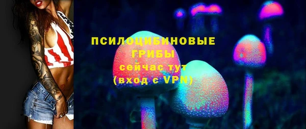 сатива Костерёво
