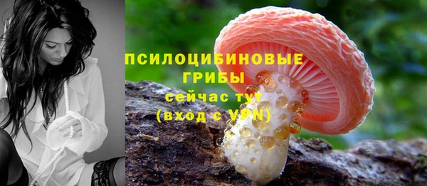 сатива Костерёво