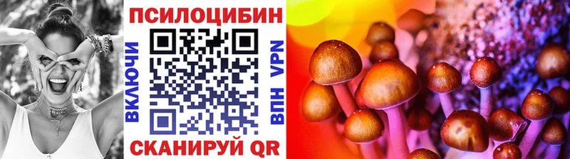 Купить закладки  Торжок  Галлюциногенные грибы мухоморы 