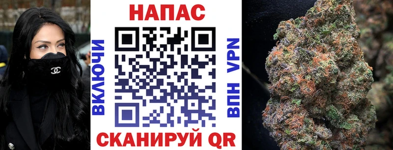 Бошки Шишки гибрид  Купить где  Торжок 